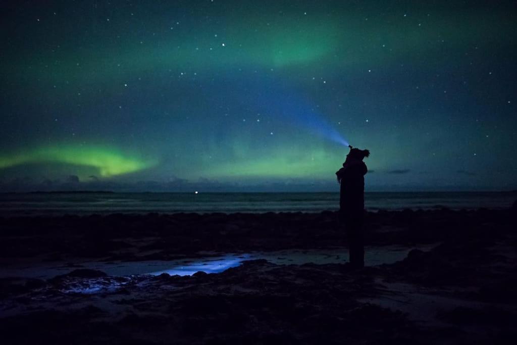 Ett Roms Leilighet Vestvagoy Gravdal  Bagian luar foto