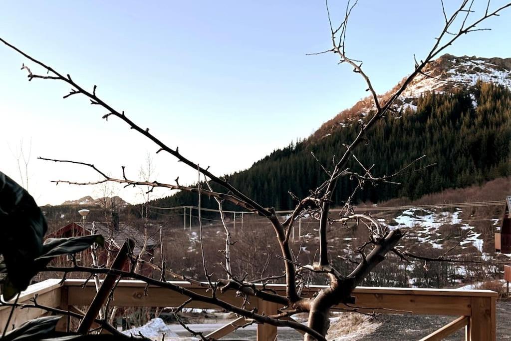 Ett Roms Leilighet Vestvagoy Gravdal  Bagian luar foto